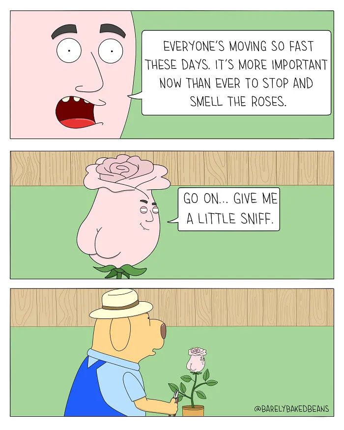 Everyday Pet Chaos Captured In Brilliantly Funny Comics By Daniel Matheson (26 New Pics)