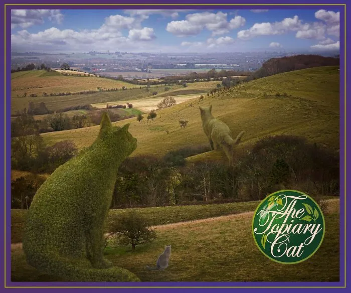 "The Topiary Cat": Richard Saunders’ Stunning Tribute To His Late Pet (29 New Pics)