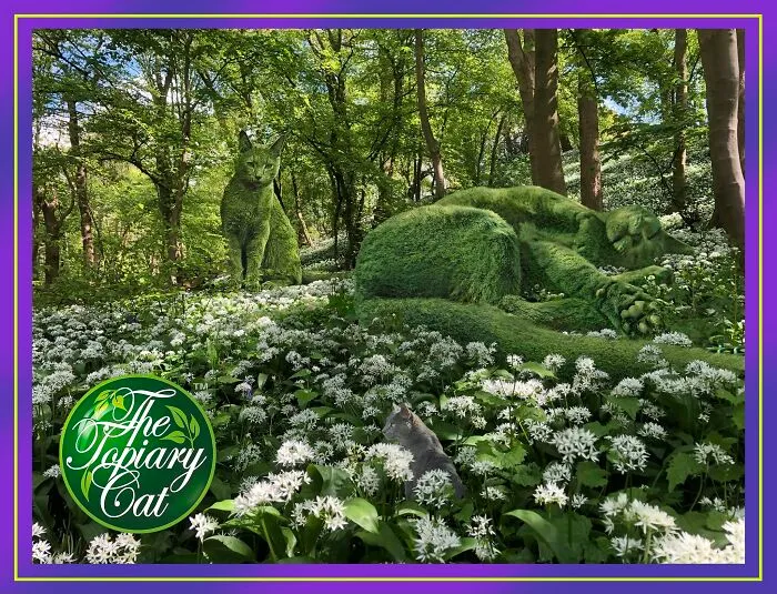 "The Topiary Cat": Richard Saunders’ Stunning Tribute To His Late Pet (29 New Pics)