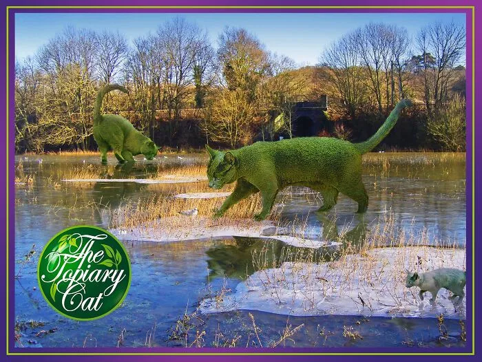 "The Topiary Cat": Richard Saunders’ Stunning Tribute To His Late Pet (29 New Pics)