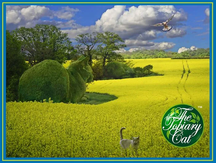 "The Topiary Cat": Richard Saunders’ Stunning Tribute To His Late Pet (29 New Pics)
