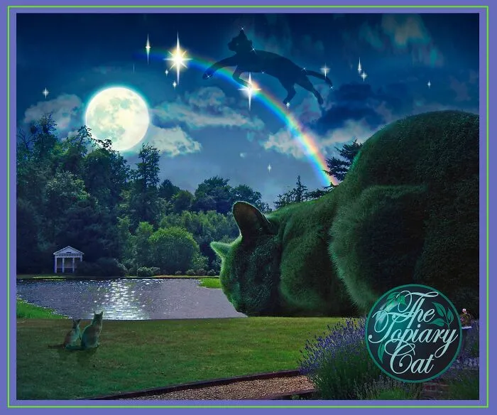 Digital art showing a cat shaped like a bush by a lake under the moonlight with a rainbow and a cat silhouette in the sky.