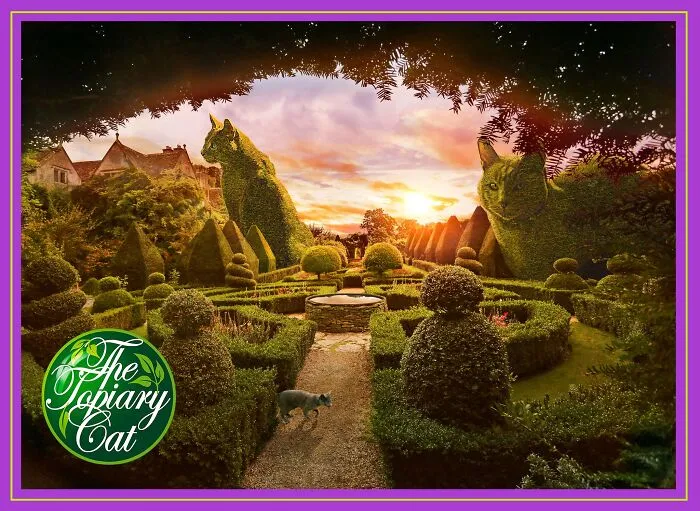 Topiary art featuring cat-shaped bushes in a garden with a sunset background, showcasing creative cat edits.