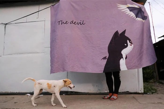38 Candid Dog Moments Captured By This Street Photographer