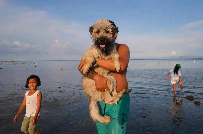 38 Candid Dog Moments Captured By This Street Photographer
