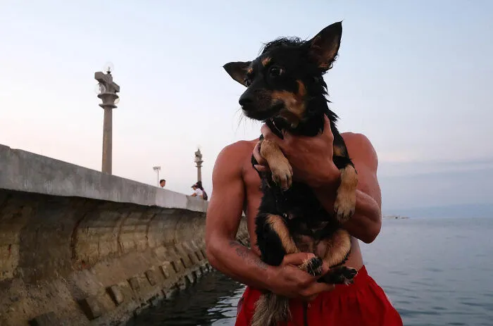 38 Candid Dog Moments Captured By This Street Photographer