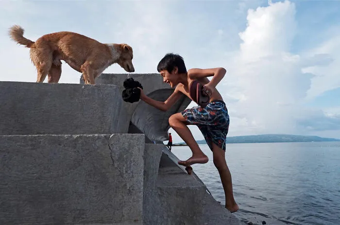38 Candid Dog Moments Captured By This Street Photographer
