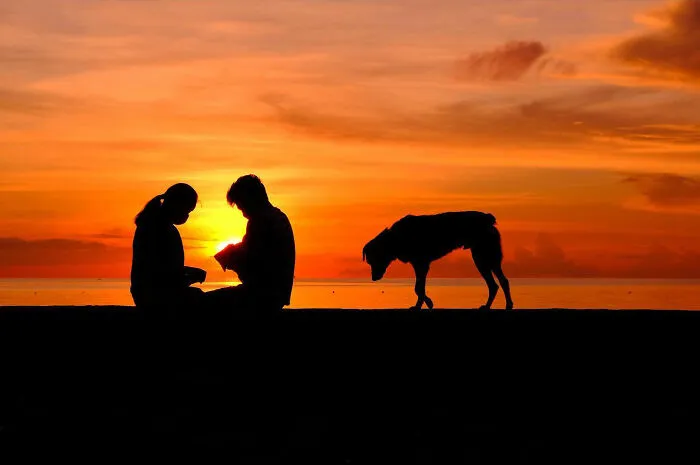 38 Candid Dog Moments Captured By This Street Photographer