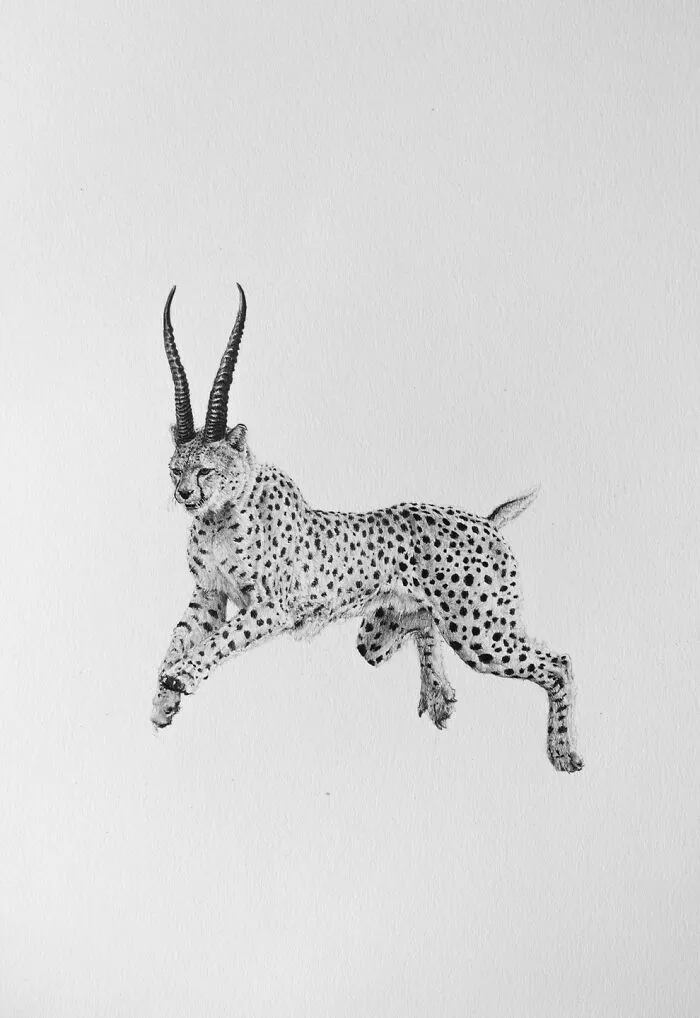50 Graphite Drawings By Mateo Pizarro That Balance Surreal Beauty With Quiet Horror