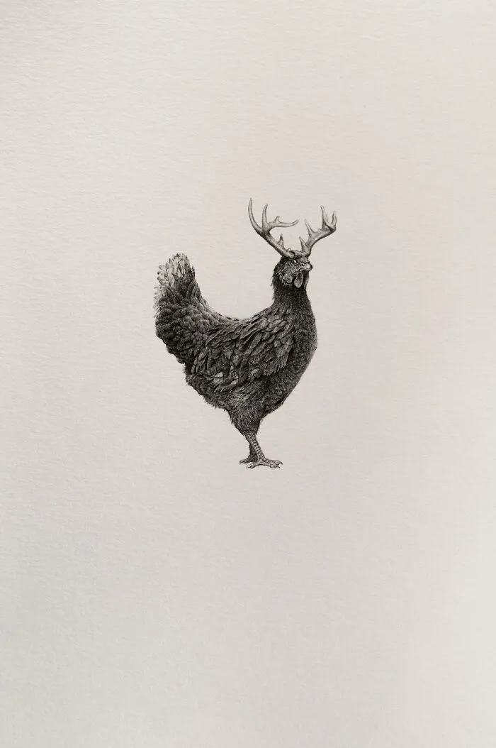 50 Graphite Drawings By Mateo Pizarro That Balance Surreal Beauty With Quiet Horror