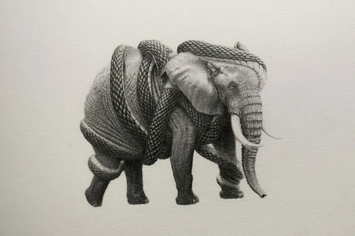 50 Graphite Drawings By Mateo Pizarro That Balance Surreal Beauty With Quiet Horror