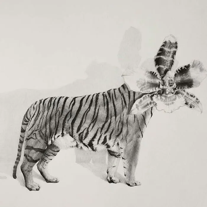 50 Graphite Drawings By Mateo Pizarro That Balance Surreal Beauty With Quiet Horror