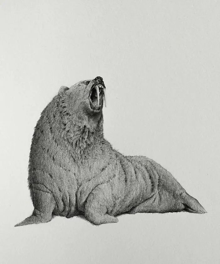 50 Graphite Drawings By Mateo Pizarro That Balance Surreal Beauty With Quiet Horror