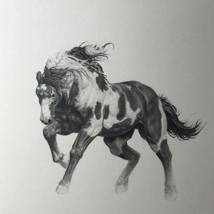 50 Graphite Drawings By Mateo Pizarro That Balance Surreal Beauty With Quiet Horror