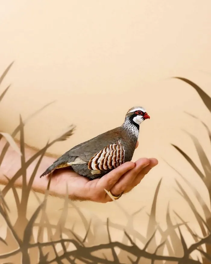 “I Cut Every Feather Out By Hand”: 31 Detailed Small Animal Sculptures By Zack Mclaughlin (New Pics)