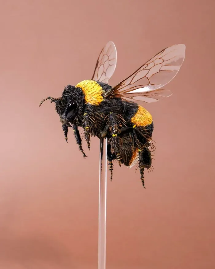 “I Cut Every Feather Out By Hand”: 31 Detailed Small Animal Sculptures By Zack Mclaughlin (New Pics)