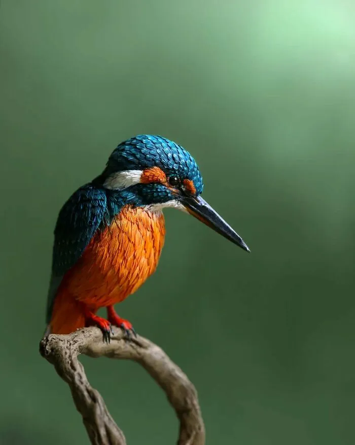 “I Cut Every Feather Out By Hand”: 31 Detailed Small Animal Sculptures By Zack Mclaughlin (New Pics)