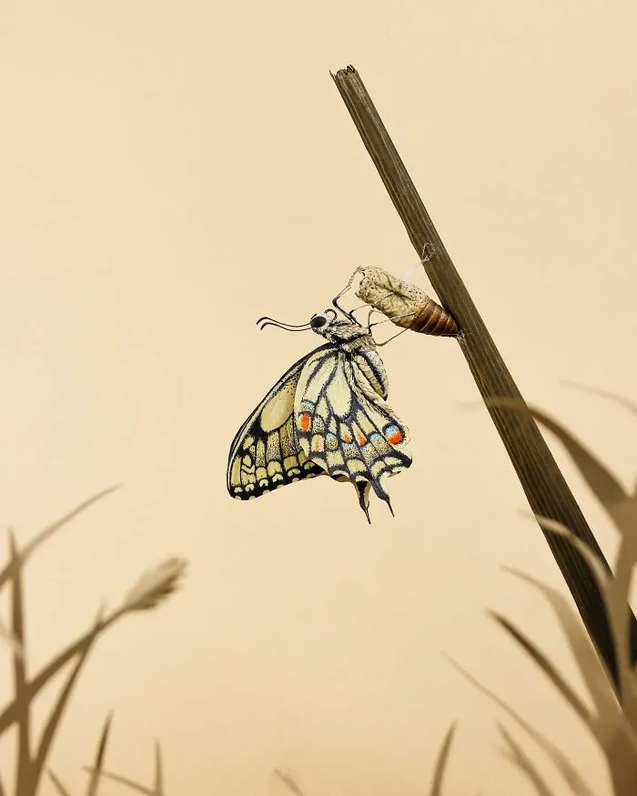 A lifelike paper and wood bird perched on a twig, showcasing intricate craftsmanship and realistic details.