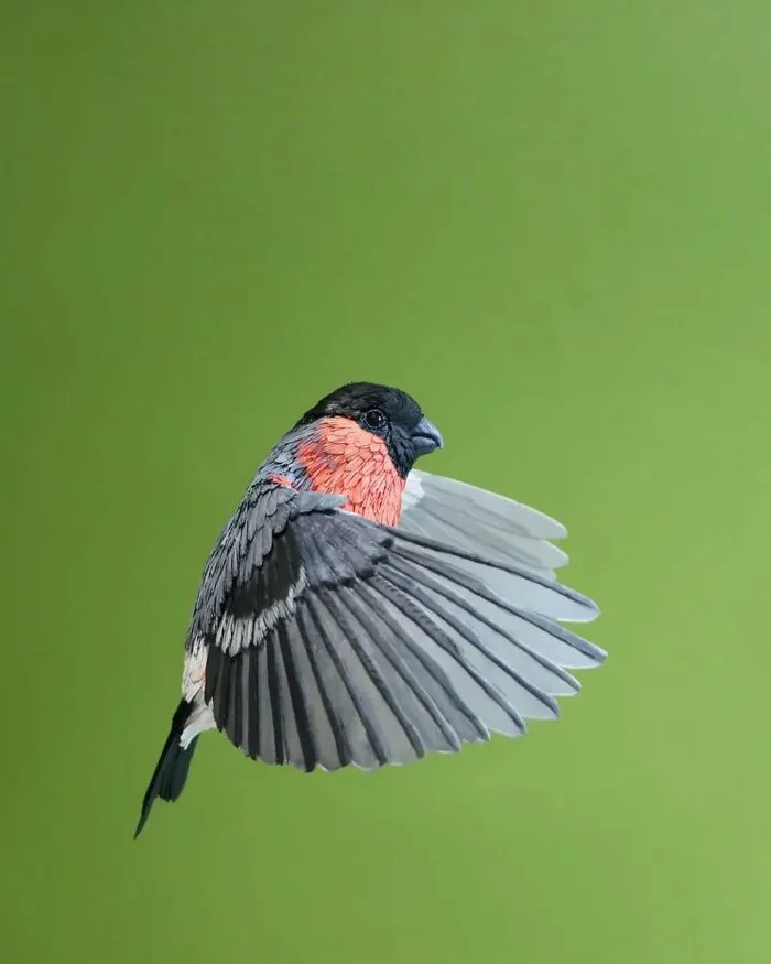 “I Cut Every Feather Out By Hand”: 31 Detailed Small Animal Sculptures By Zack Mclaughlin (New Pics)