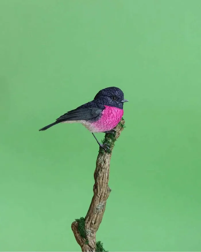 “I Cut Every Feather Out By Hand”: 31 Detailed Small Animal Sculptures By Zack Mclaughlin (New Pics)