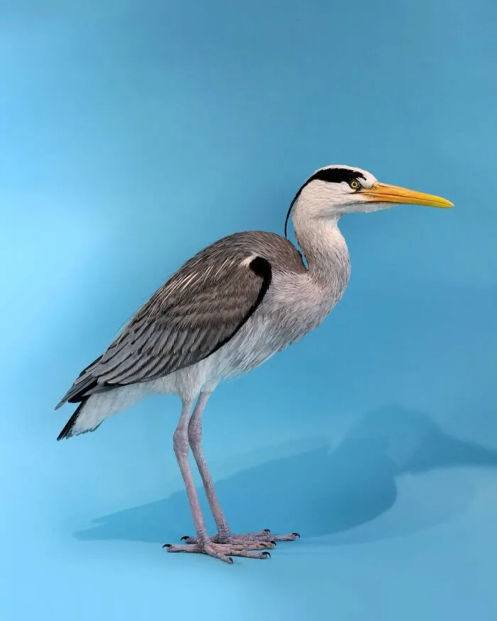 “I Cut Every Feather Out By Hand”: 31 Detailed Small Animal Sculptures By Zack Mclaughlin (New Pics)