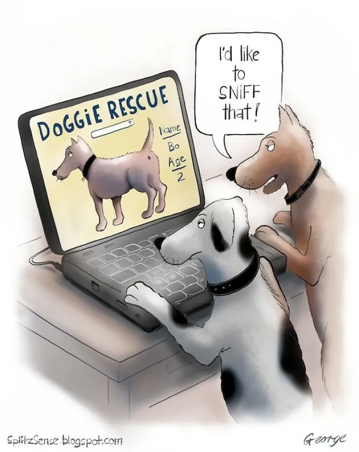 29 Surreal, Simple, And Strangely Relatable Cartoons By George Webster