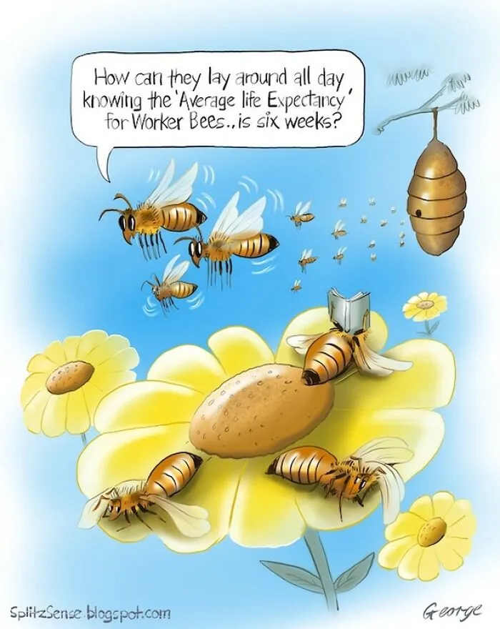 29 Surreal, Simple, And Strangely Relatable Cartoons By George Webster