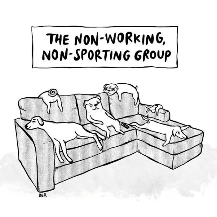 This Cartoonist's 35 One-Panel Comics Are A Funny Mirror To The World Around Us