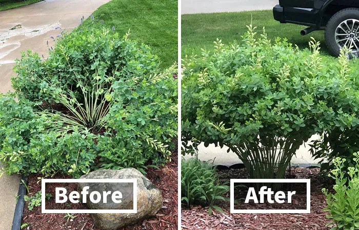 If Your Plants Have The Structural Integrity Of Overcooked Spaghetti, These <a Style="Display:inline;" Href="Https://Www.amazon.com/Leobro-Plant-Support-Garden-Tomato/Dp/B07x627fvr?ie=utf8&th=1&linkcode=ll1&tag=bpowl-20&linkid=80e43b7420ce054d0adfa9193034910d&language=en_us&ref_=as_li_ss_tl" Target="_blank"><span Style="Font: Inherit; Color: #d74b1f;"> Plant Support Stakes </Span> Are Here To Give Them The Backbone They Clearly Weren't Born With