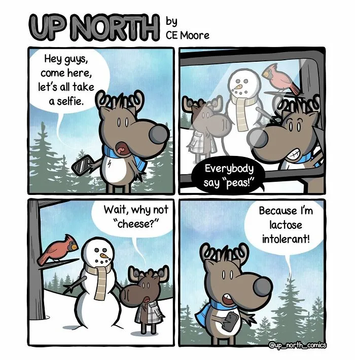 30 Clean And Clever Comics By Bruce That Capture Life In A Snowy Small Town Made By This Artist