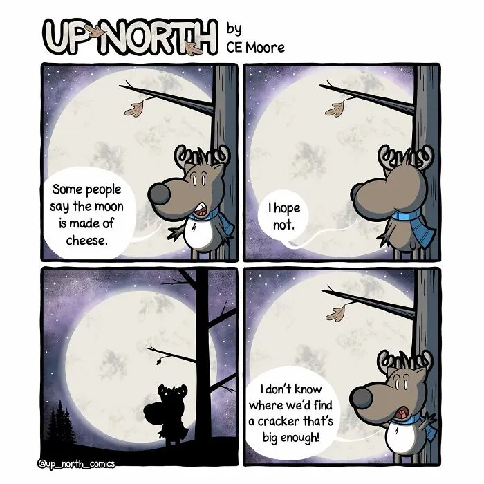 30 Clean And Clever Comics By Bruce That Capture Life In A Snowy Small Town Made By This Artist