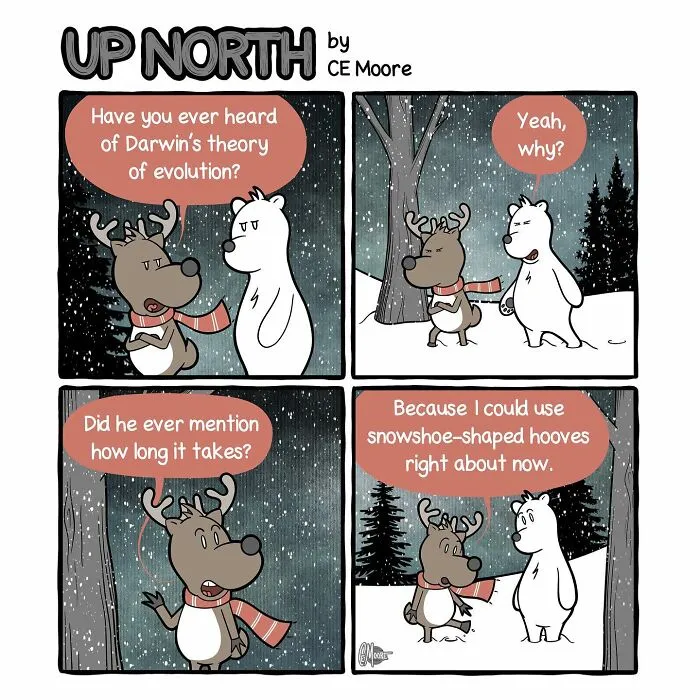 30 Clean And Clever Comics By Bruce That Capture Life In A Snowy Small Town Made By This Artist