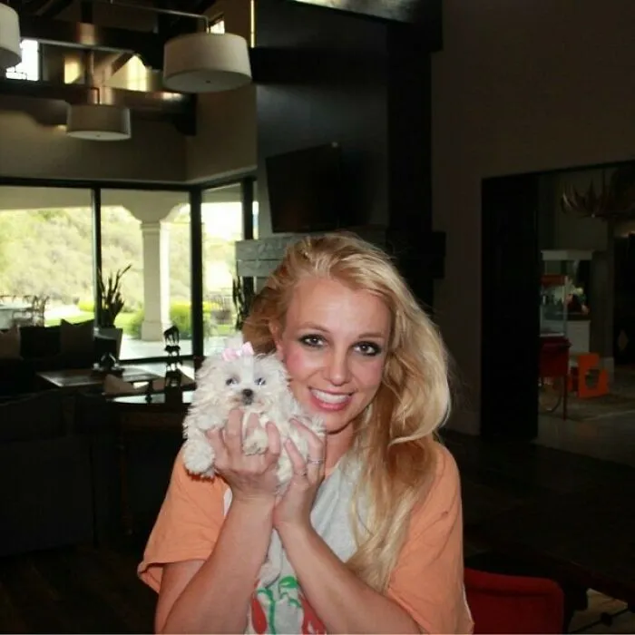 Britney Spears 2013: "Say Good Morning To My New Baby People"