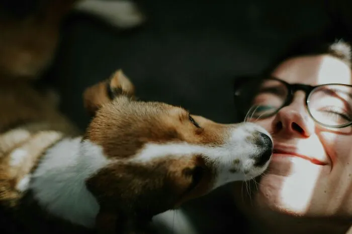 36 Life's Little Moments That Only Prove That Happiness Doesn't Have To Be Grand