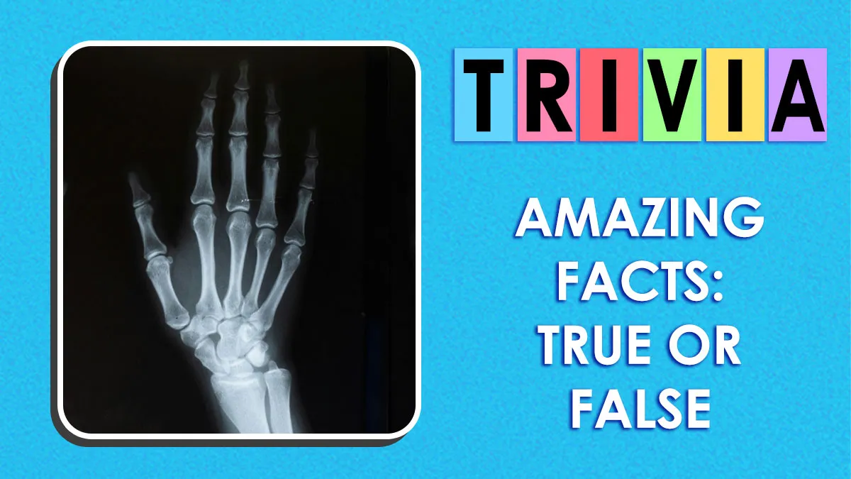 Here Are 40 True-Or-False Questions With Amazing Facts - By Scoring 38/40, You Prove You Are A Genius