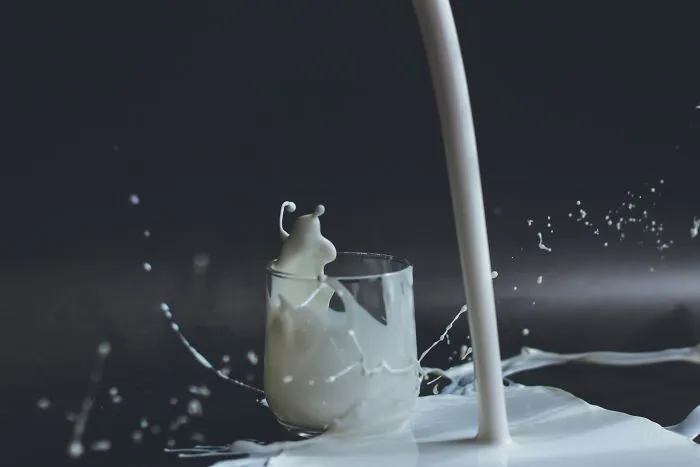 Milk Products