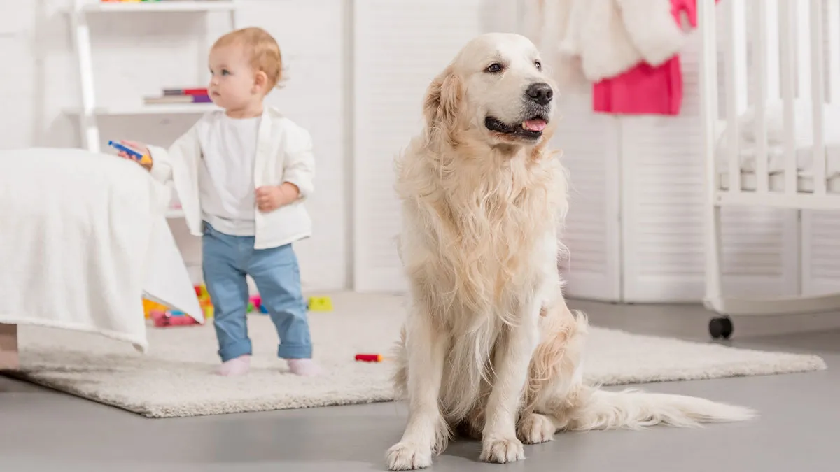 Woman Protects Her Dog From 2.5YO Nephew, Sister Demands An Apology