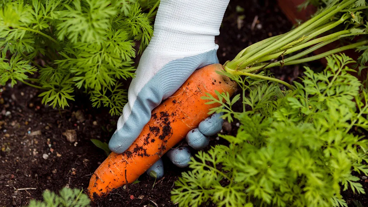 Health Experts Suggest Avoiding These Foods And Products By All Means