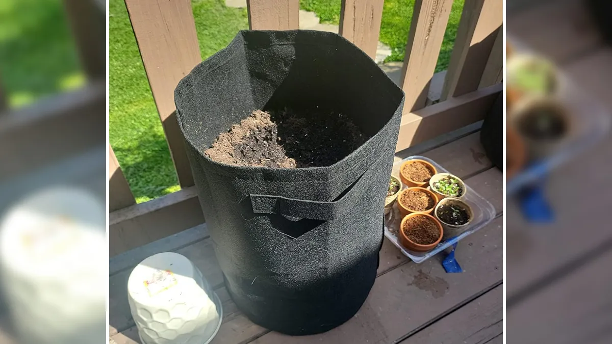 20 All-Time Best Gardening Finds Will Make Your Plants Say “Thank You Berry Much”