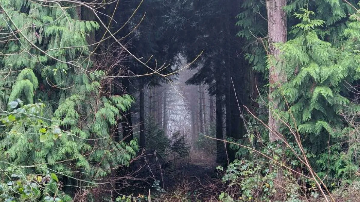 30 Hauntingly Beautiful Photos Of Places Just Beyond Normal