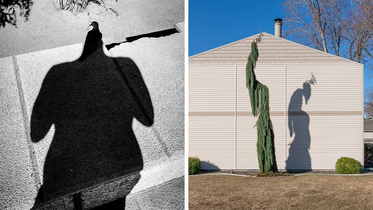 AAP Magazine Announces The 25 Winning Shadow-Themed Photographs