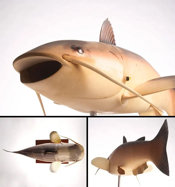 Robot Fish "Charlie"