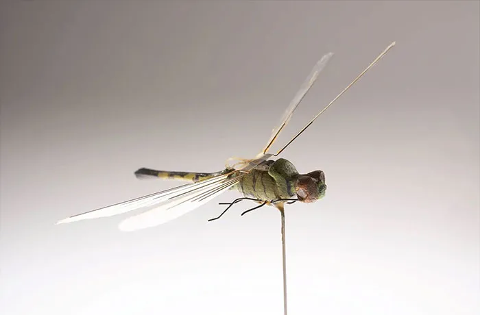 Insectothopter