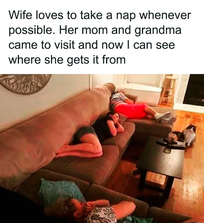 50 Hilariously Relatable Memes To Remind You That We All Exist In The “Circle Of Idiots” (New Pics)