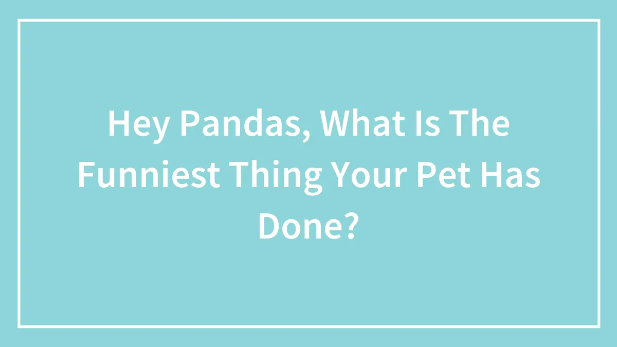 Hey Pandas, What Is The Funniest Thing Your Pet Has Done? (Closed)