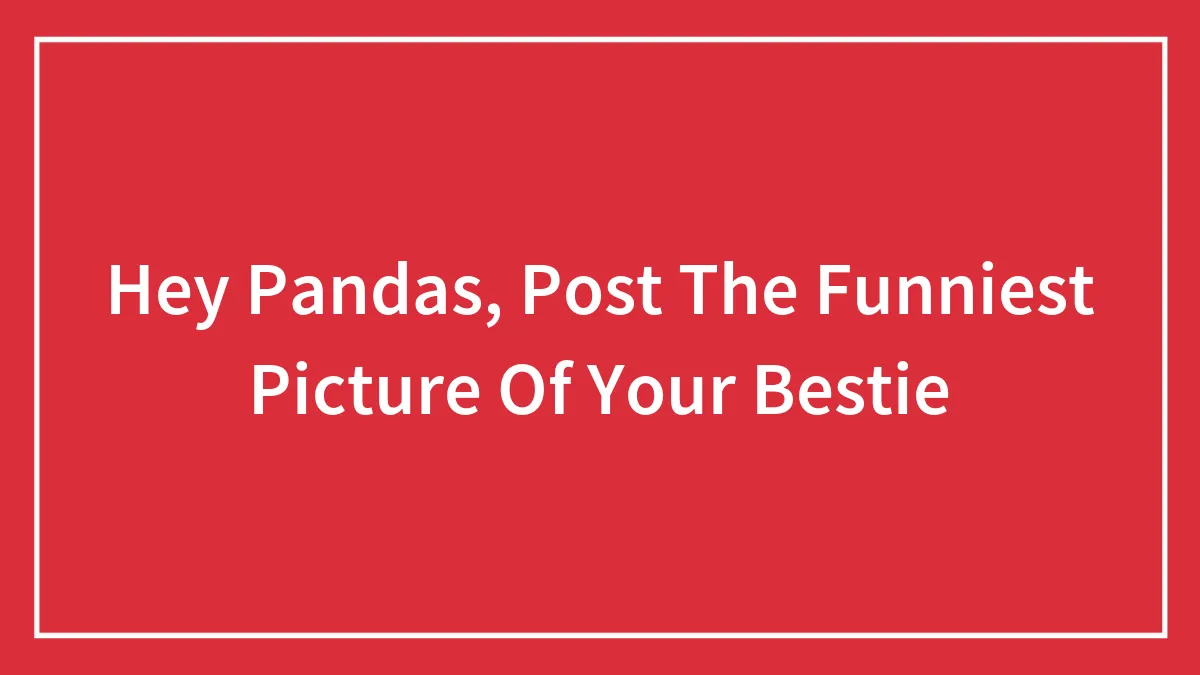 Hey Pandas, Post The Funniest Picture Of Your Bestie (Closed)