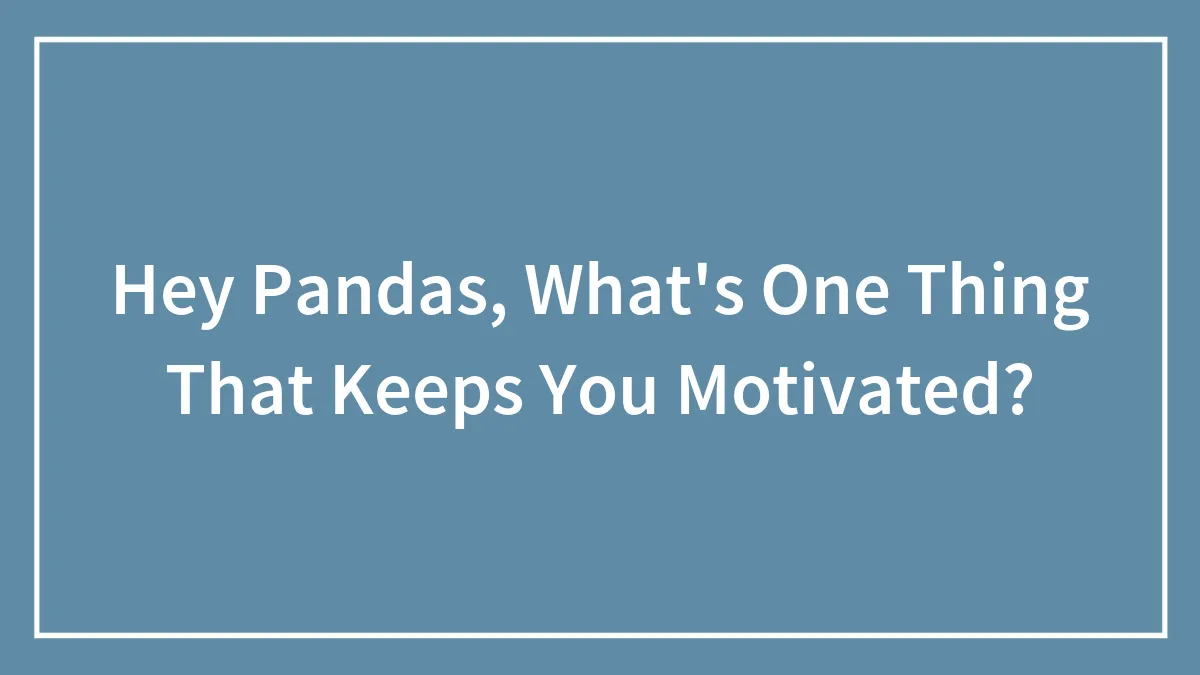 Hey Pandas, What's One Thing That Keeps You Motivated?