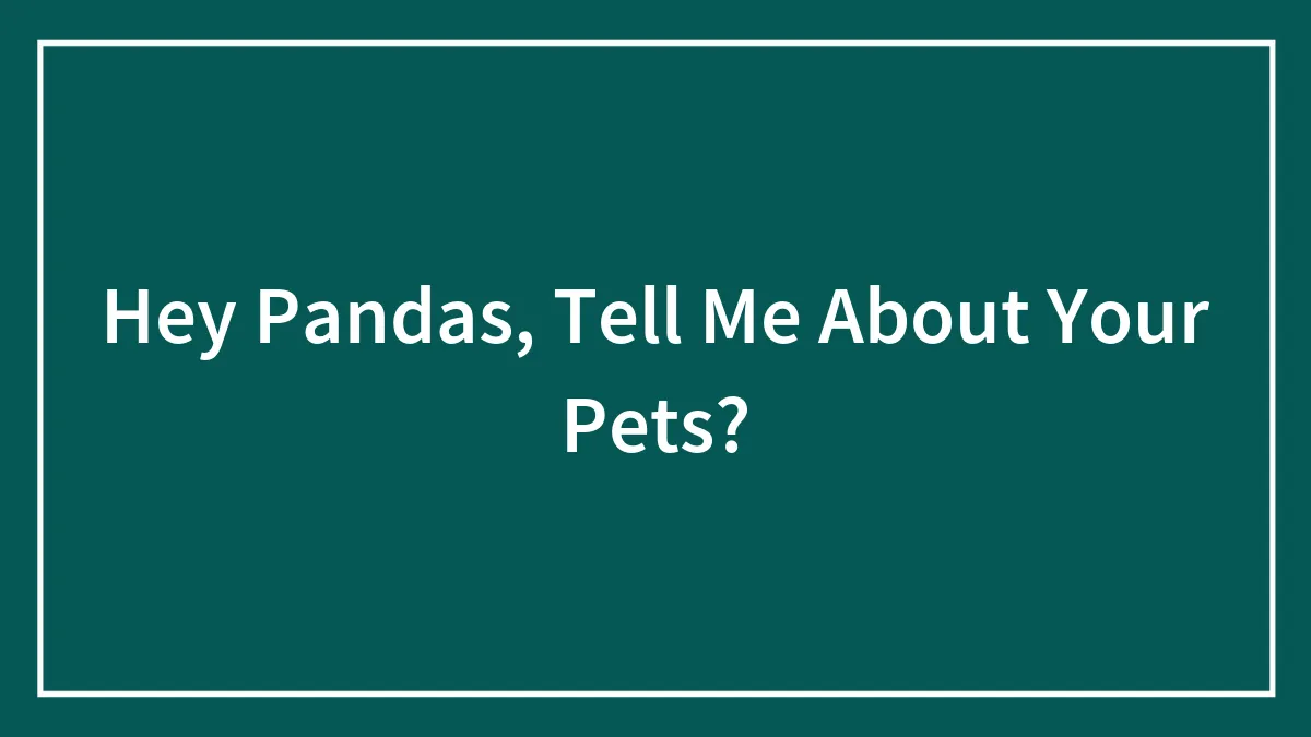 Hey Pandas, Tell Me About Your Pets? (Closed)