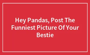 Hey Pandas, Post The Funniest Picture Of Your Bestie (Closed)