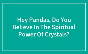 Hey Pandas, Do You Believe In The Spiritual Power Of Crystals?